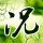 一比一原版佛密歇根州立大学毕业证【degxx.com】